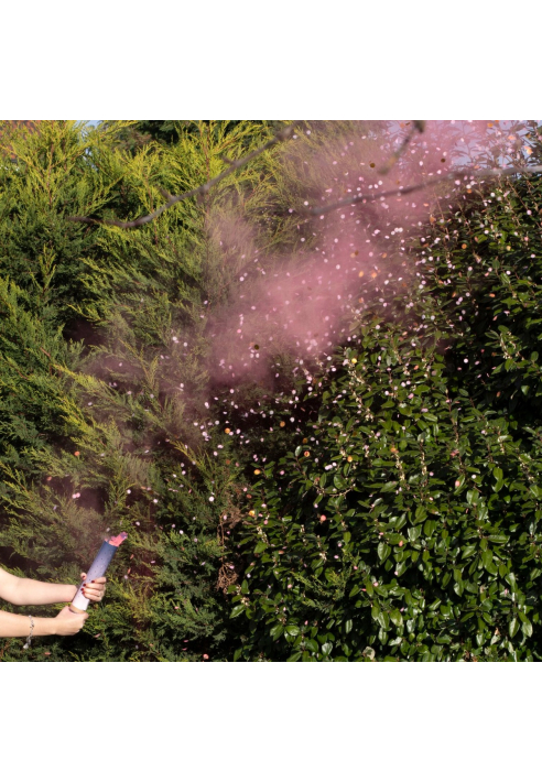 Ginger Ray GR-132 Gender Reveal - Revelación de Género Rosa ()