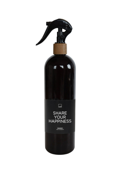 Leeff 18241 Roomspray Minty Moments Black ()