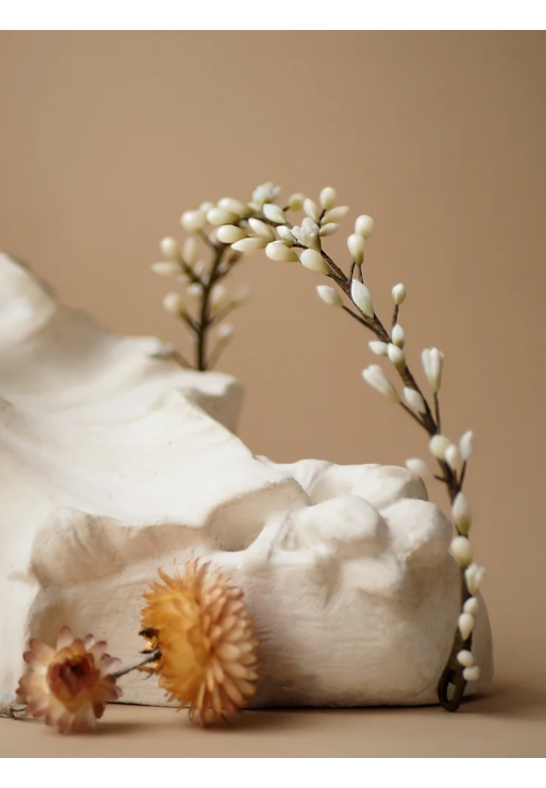 Lizeron Leo Tiara Blanco