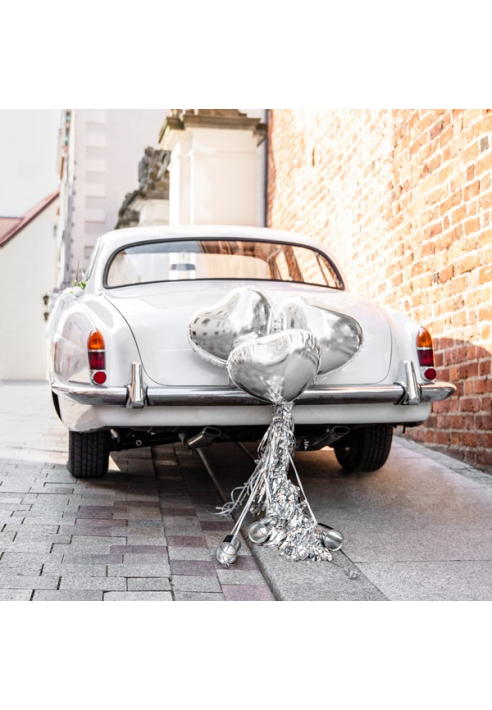 Party Deko ZDS1-018 - Decoración para el Coche - Kit Plata ()