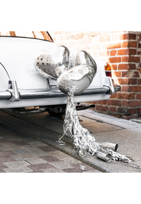 Party Deko ZDS1-018 - Decoración para el Coche - Kit Plata