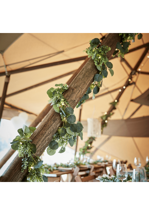 Ginger Ray BRA-302 Guirnalda Artificial Follaje Botánico y Luces ()