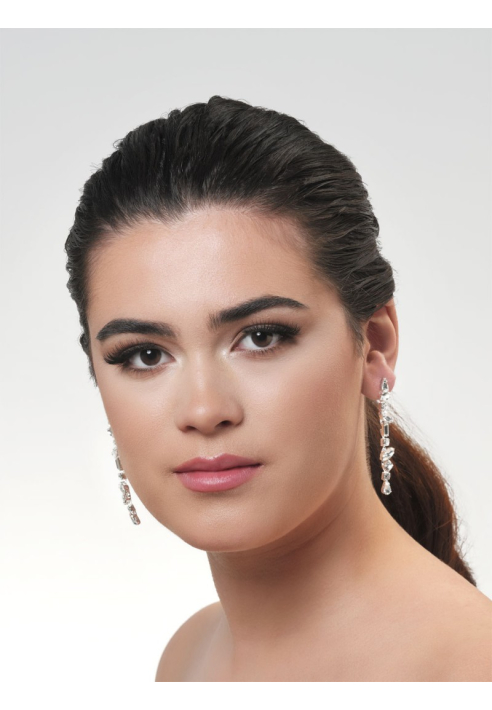 Poirier NC-1333 Pendientes Plata ()