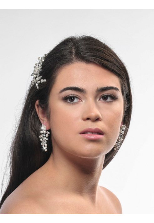 Poirier NC-1324 Pendientes Plateados Largos ()