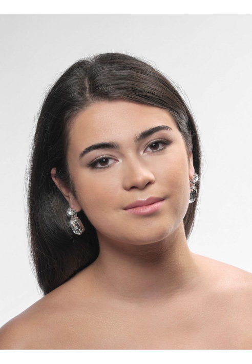 Poirier NC-1339 Pendientes Plata ()