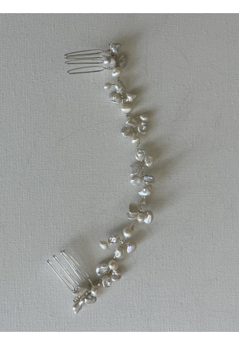 Nova Guirnalda Plateada