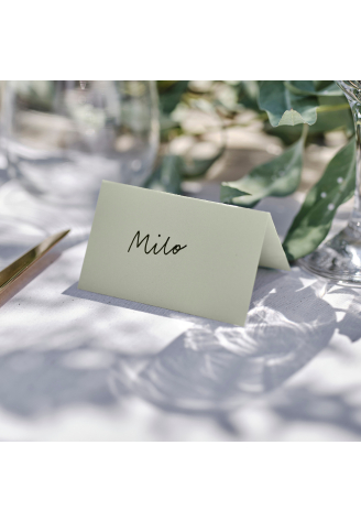 Ginger Ray SW-844 Sage Wedding Place Cards ()