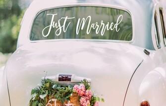 Ver nuestra gama de productos